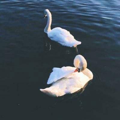 可下分电玩app下载