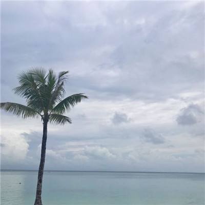 大发黄金版app下载下载手机版