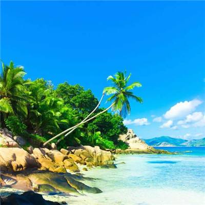 亚虎娱乐手机app下载