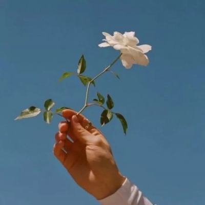 宝威体育官网入口