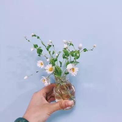 万博·ManBetX手机下载手机版